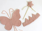 the butterfly wish